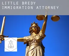 Little Bredy  immigration attorney
