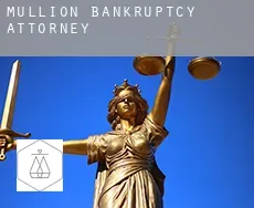 Mullion  bankruptcy attorney