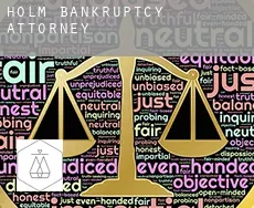 Holm  bankruptcy attorney