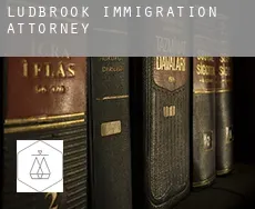 Ludbrook  immigration attorney