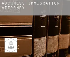 Auchness  immigration attorney