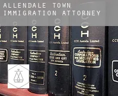Allendale Town  immigration attorney