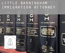 Little Barningham  immigration attorney