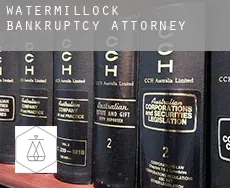 Watermillock  bankruptcy attorney