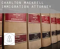 Charlton Mackrell  immigration attorney