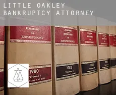Little Oakley  bankruptcy attorney