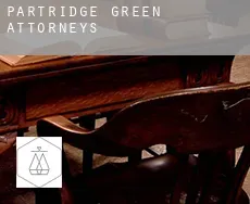 Partridge Green  attorneys