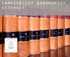 Camasericht  bankruptcy attorney