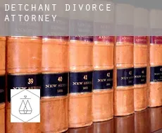 Detchant divorce attorney