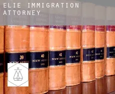 Elie  immigration attorney