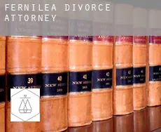 Fernilea  divorce attorney