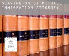Seavington st. Michael  immigration attorney