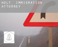 Holt  immigration attorney