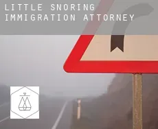 Little Snoring  immigration attorney