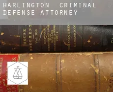 Harlington criminal defense attorney
