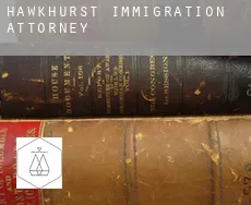 Hawkhurst  immigration attorney