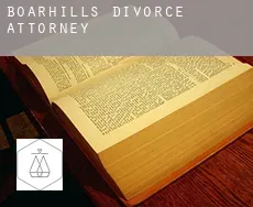Boarhills  divorce attorney