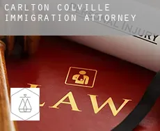 Carlton Colville  immigration attorney