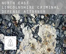 North East Lincolnshire  criminal defense attorney
