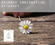 Grumbeg  immigration attorney