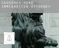 Causeway Head  immigration attorney
