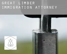 Great Limber  immigration attorney