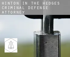 Hinton in the Hedges  criminal defense attorney
