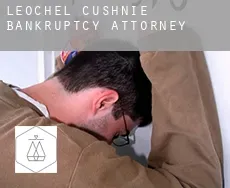 Leochel-Cushnie  bankruptcy attorney