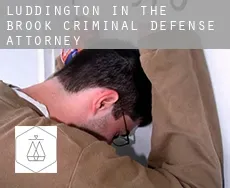 Luddington in the Brook  criminal defense attorney