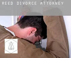 Reed  divorce attorney