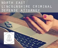 North East Lincolnshire  criminal defense attorney
