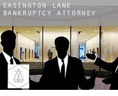 Easington Lane  bankruptcy attorney