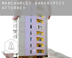 Marchamley  bankruptcy attorney