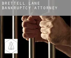 Brettell Lane  bankruptcy attorney