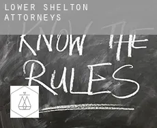 Lower Shelton  attorneys