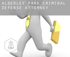 Alderley Park  criminal defense attorney