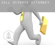 Coll divorce attorney