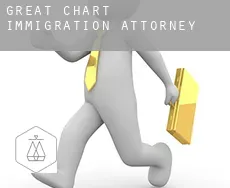 Great Chart  immigration attorney