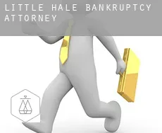 Little Hale  bankruptcy attorney