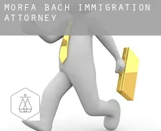 Morfa Bach  immigration attorney