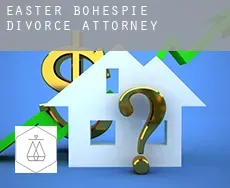 Easter Bohespie divorce attorney