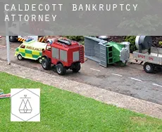 Caldecott  bankruptcy attorney