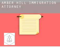 Amber Hill  immigration attorney