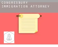 Congresbury immigration attorney
