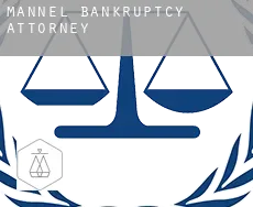 Mannel  bankruptcy attorney