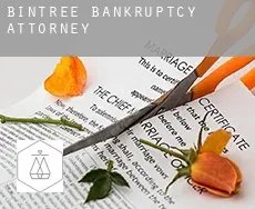 Bintree  bankruptcy attorney
