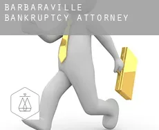Barbaraville bankruptcy attorney