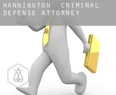 Hannington criminal defense attorney
