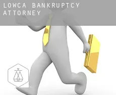 Lowca  bankruptcy attorney