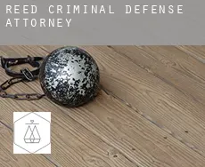 Reed  criminal defense attorney